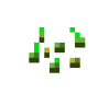 作物种子