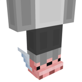 Winged Pig Boots（鞋类）