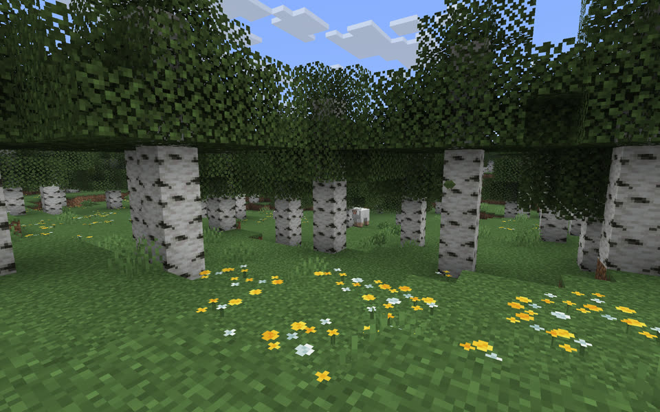 桦木森林（Birch Forest）样图