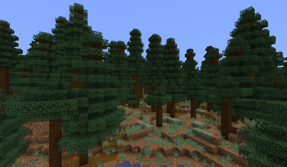 原始云杉针叶林（Old Growth Spruce Taiga）样图