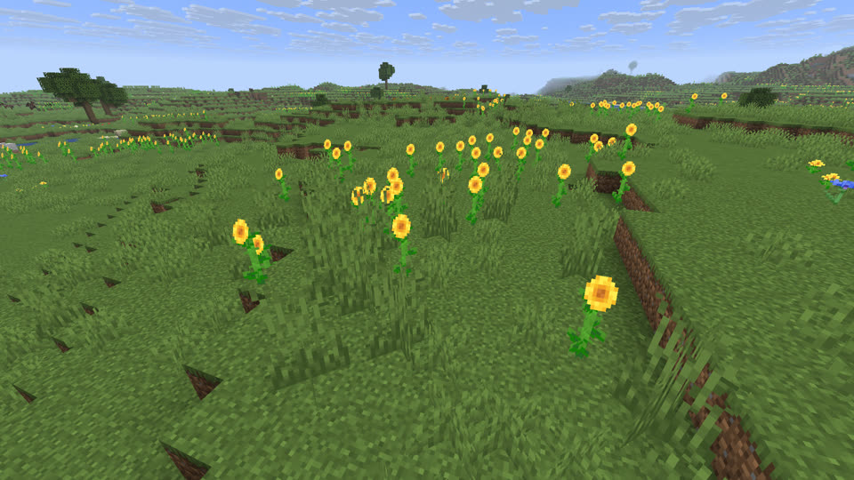 向日葵平原（Sunflower Plains）样图