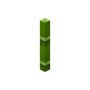 竹子（Bamboo）素材图