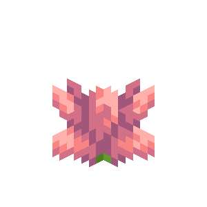 仙人掌花（Cactus Flower）素材图