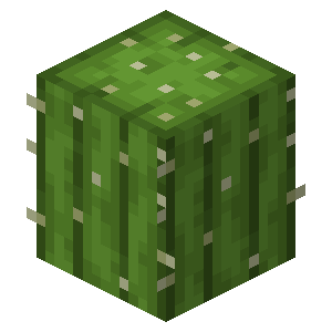 仙人掌（Cactus）素材图