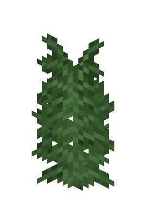 大型蕨（Large Fern）素材图