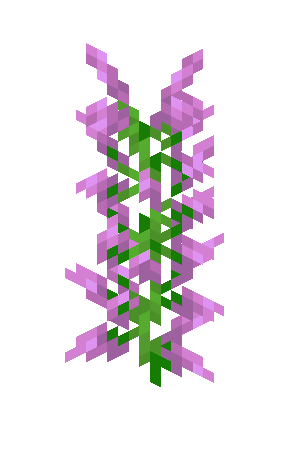 丁香（Lilac）素材图