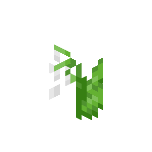 铃兰（Lily Of The Valley）素材图