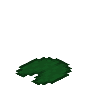 睡莲（Lily Pad）素材图