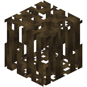 红树根（Mangrove Roots）素材图