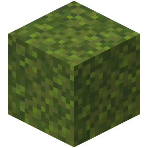 苔藓块（Moss Block）素材图