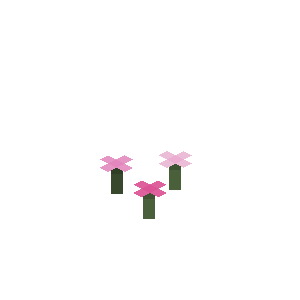 粉红色花簇（Pink Petals）素材图