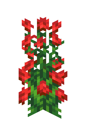 玫瑰丛（Rose Bush）素材图