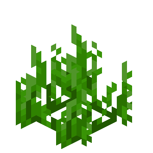 海草（Seagrass）素材图