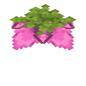 孢子花（Spore Blossom）素材图