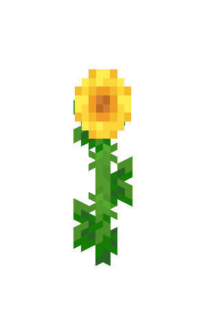 向日葵（Sunflower）素材图