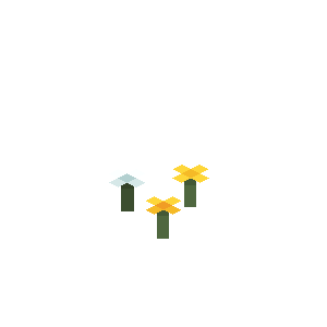野花簇（Wildflowers）素材图