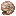 鹦鹉螺壳（Nautilus Shell）素材图