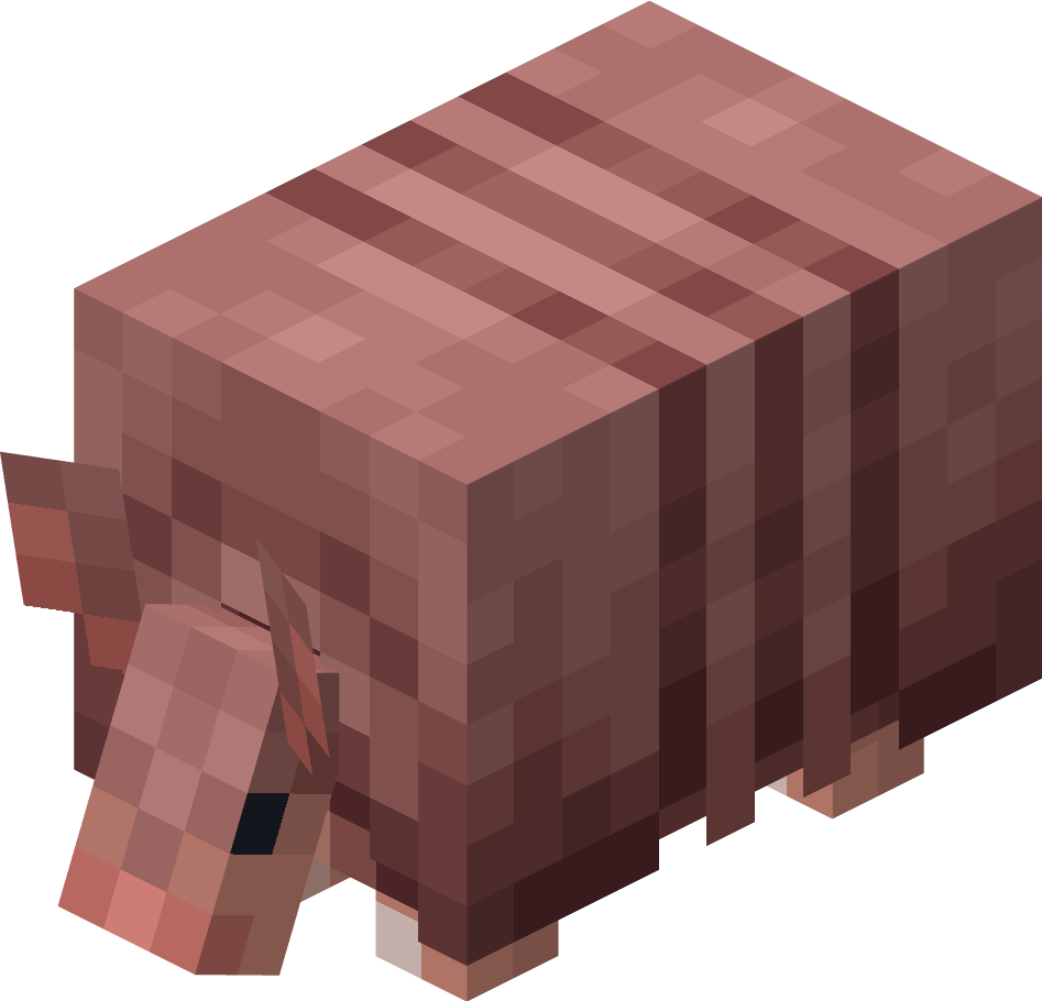 犰狳（Armadillo）素材图