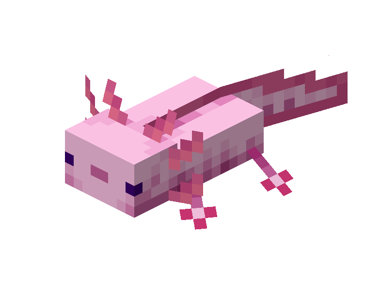 美西螈（Axolotl）素材图