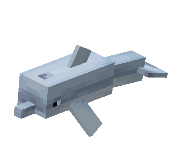海豚（Dolphin）素材图