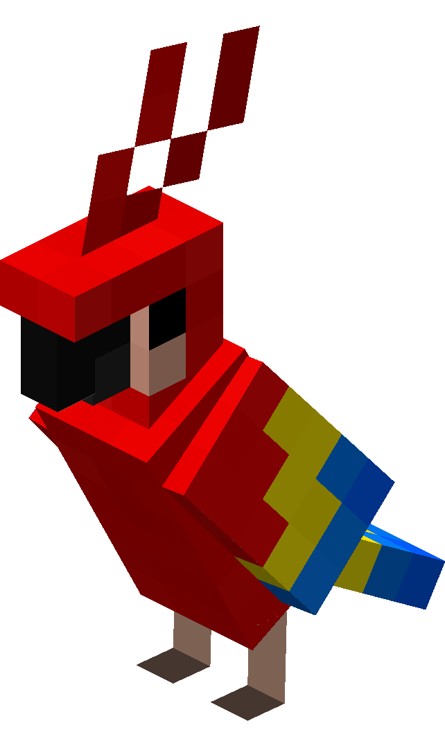 鹦鹉（Parrot）素材图