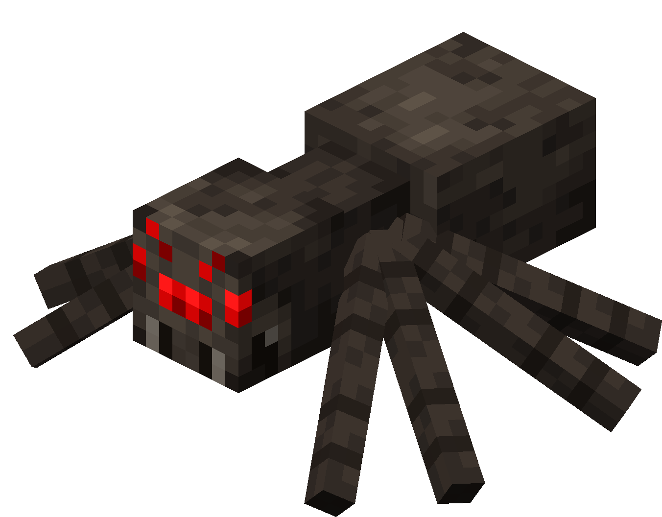 蜘蛛（Spider）素材图