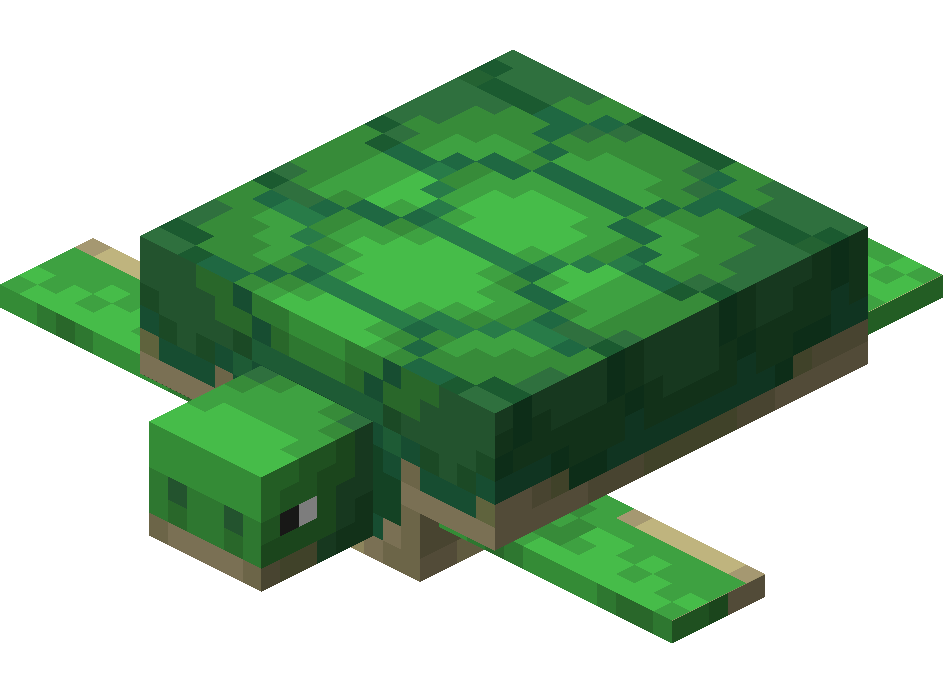 海龟（Turtle）素材图