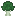西兰花 / Broccoli