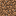 泥土 / Dirt
