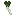 韭葱 / Leek