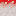 蘑菇 / Mushroom