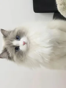 哈哈哈