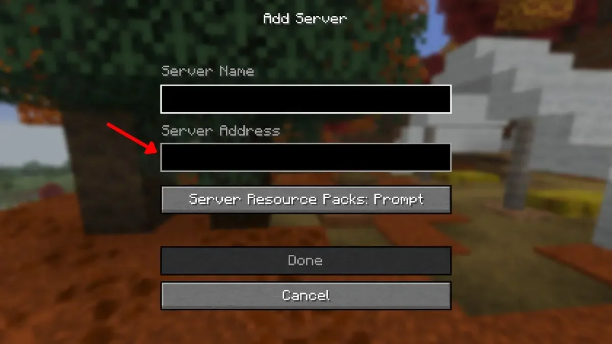 在 Minecraft Java版中填写服务器地址