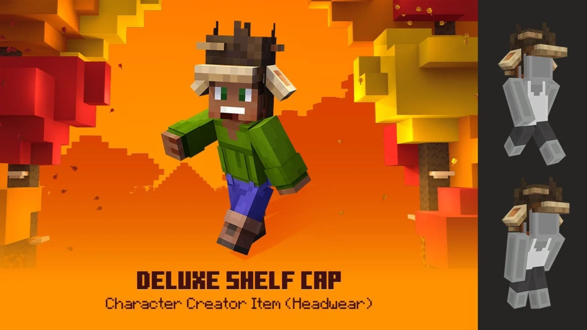 豪华置物架帽(Deluxe Shelf Cap)物品