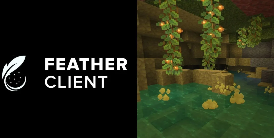 知名 Minecraft 羽毛启动器 (Feather Launcher) 被控卷入数百万美元诈骗案