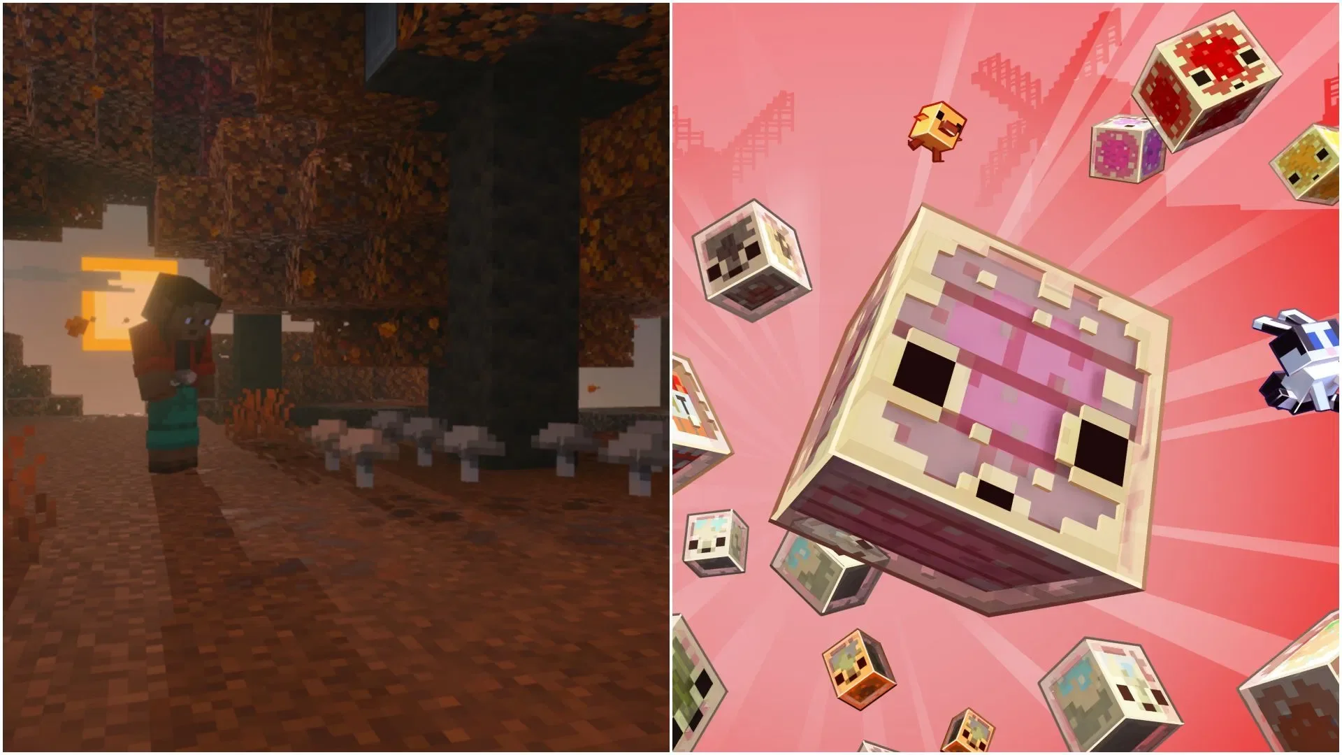 Minecraft Live 2026 年 5 月活动的五大核心发布