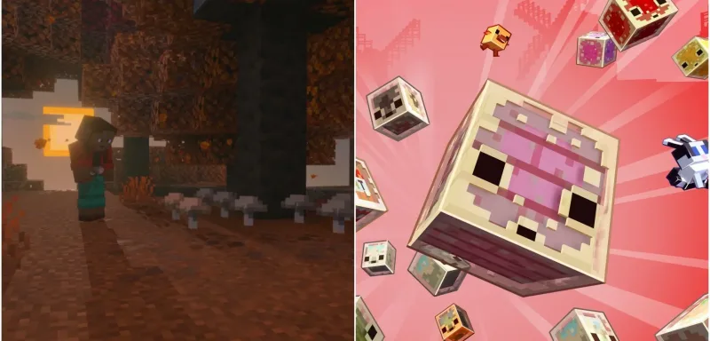 Minecraft Live 2026 年 5 月活动的五大核心发布
