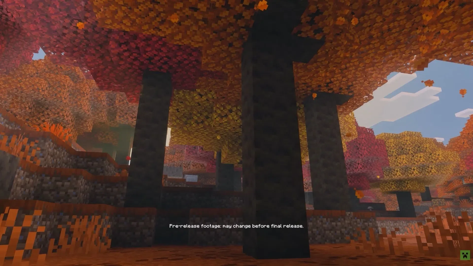 Minecraft 中的斑驳森林：白杨树、红色灌木丛及其他全新特性