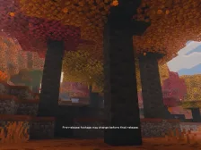 Minecraft 中的斑驳森林：白杨树、红色灌木丛及其他全新特性
