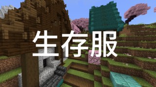 生存服SKYROOM