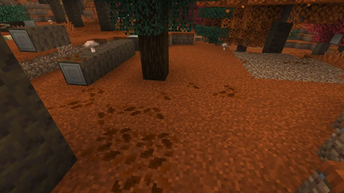 Leaf Litter 6a438ad2c53bd814588923 0