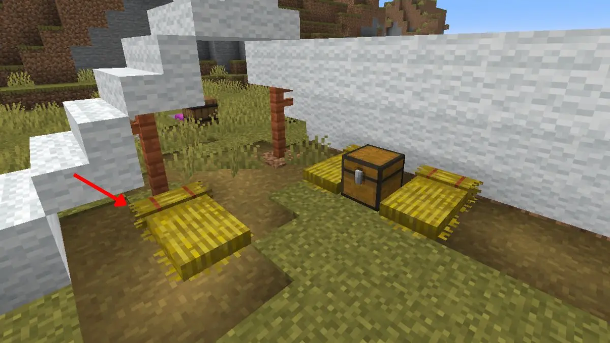 Where to Find Straw Beds in Minecraft Abandoned Camps 6a5068d1aef83591812931 0