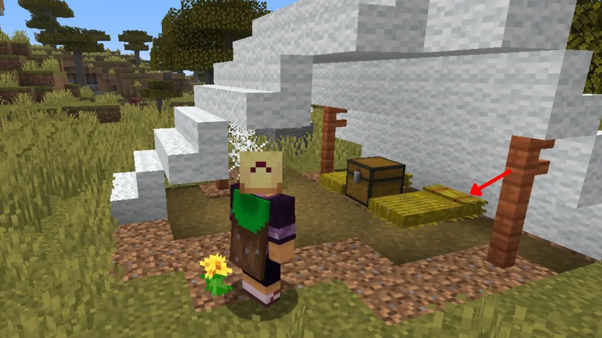 Where to Find Straw Beds in Minecraft Naturally 6a5068cf9d812597192455 0