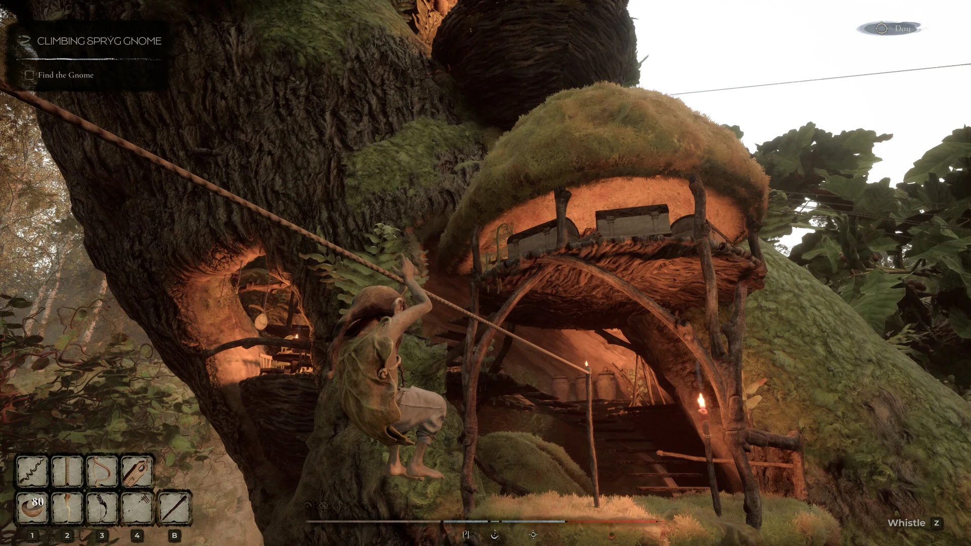 在古树上搭建的侏儒小屋