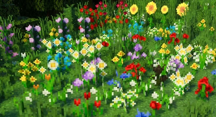 花朵变化