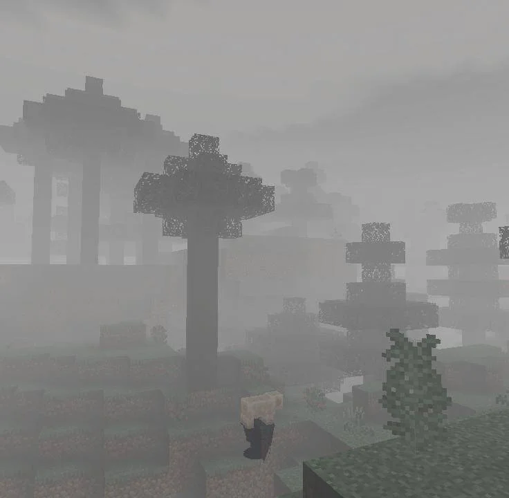 白天