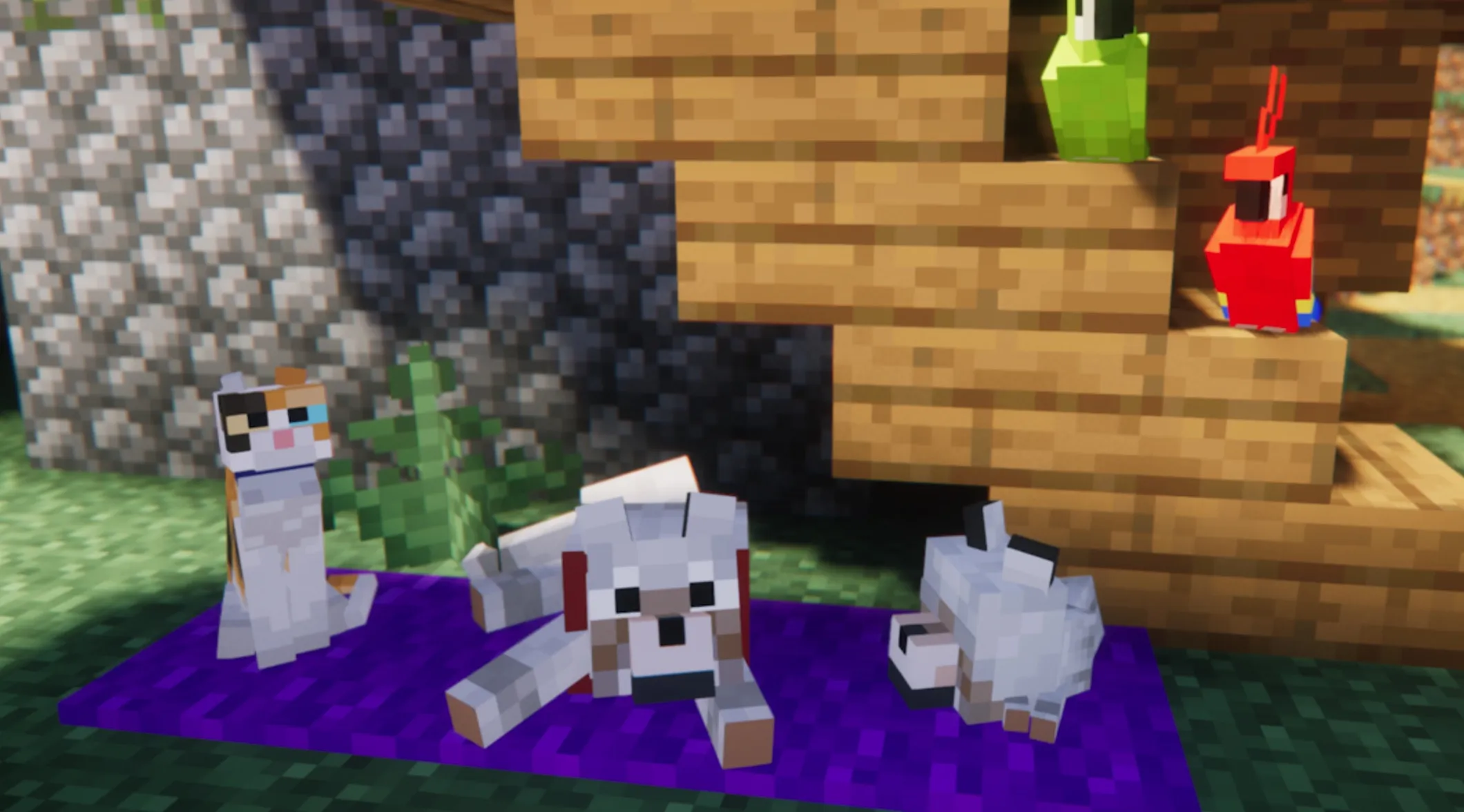 灵动生物 Fresh Animations