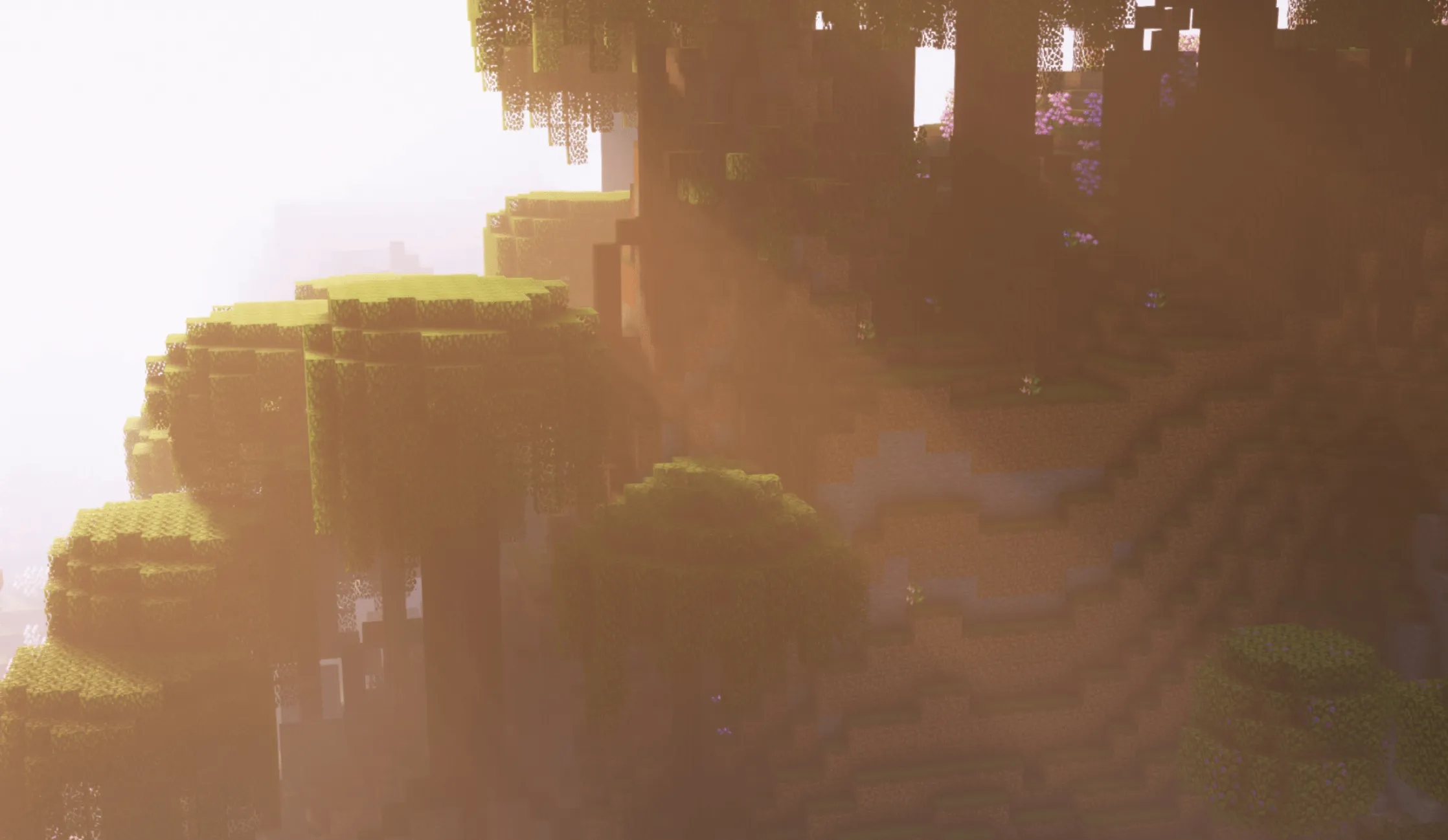 Iris Shaders