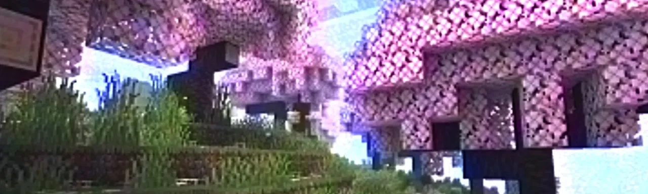 MC VHS