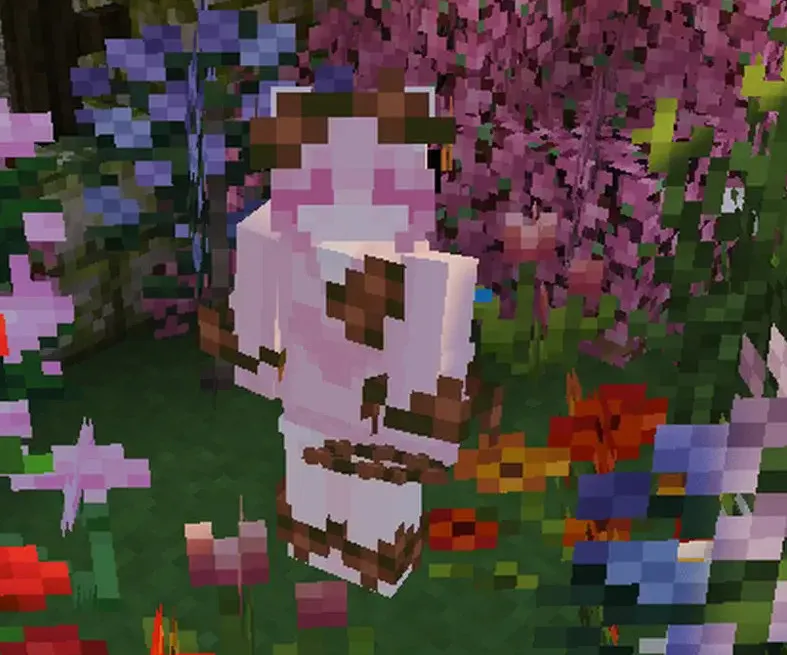 Adina的手工花卉套件 Adina's Kit's Cutie Flowers